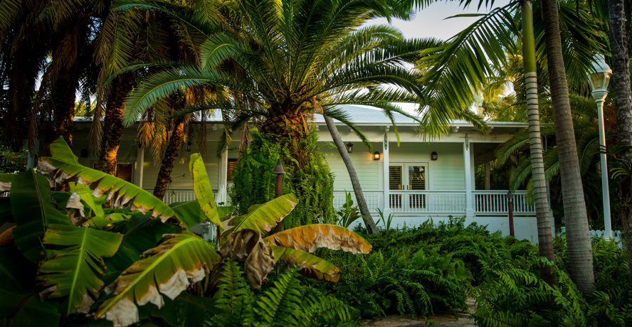 Canary Island North & South Home