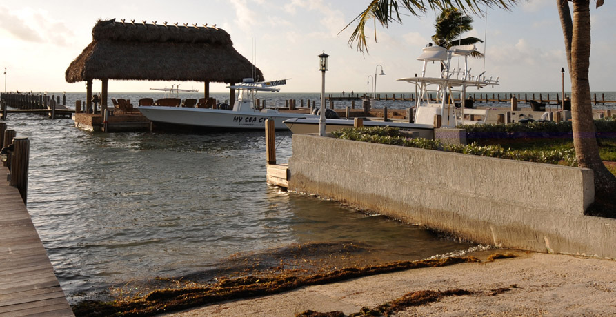 Boat Harbor Marina